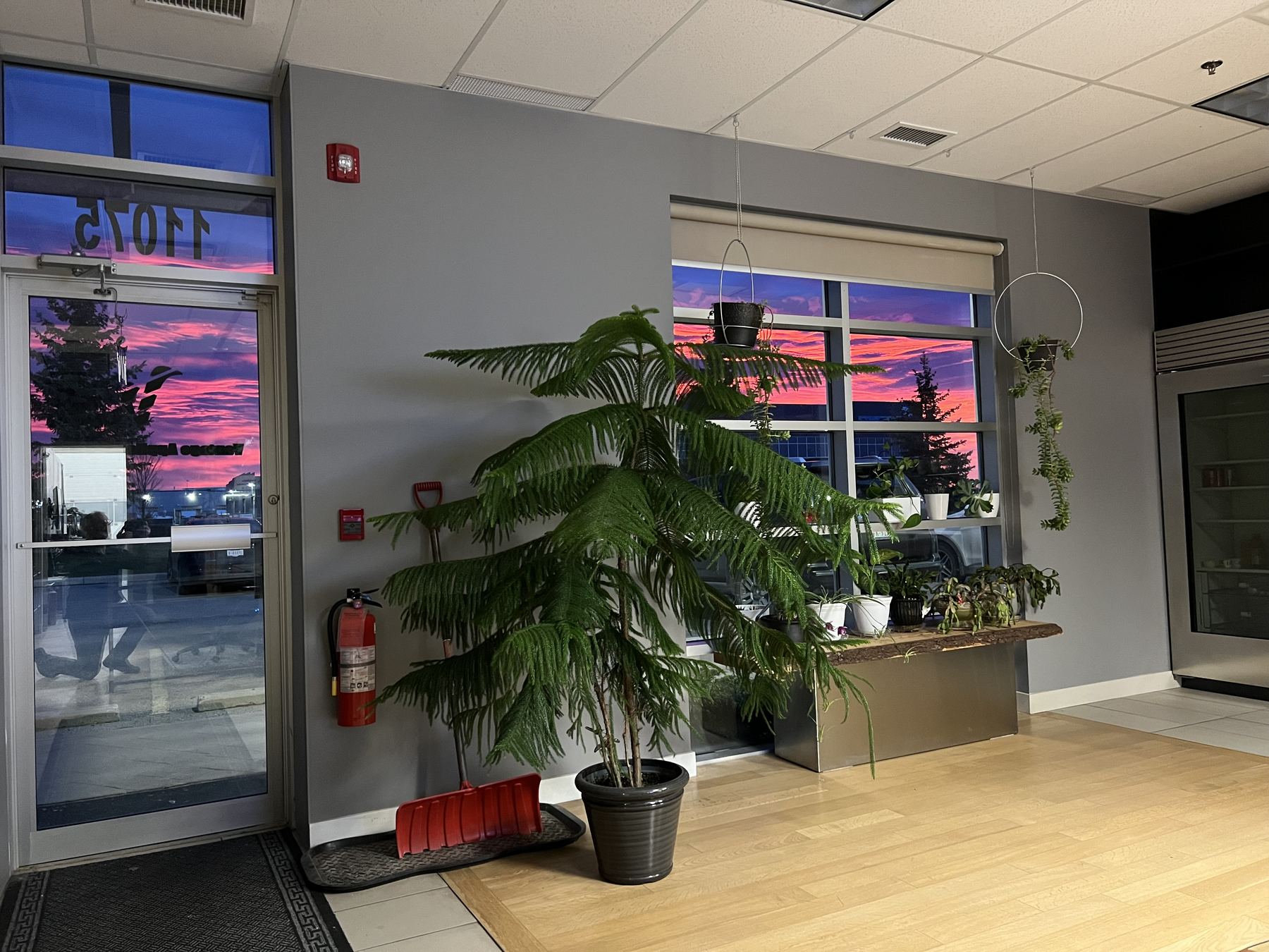 Vantage front office with large windows and plants